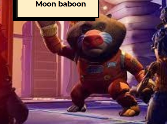 moon baboon